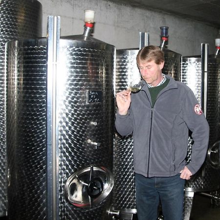 Hotel Ferienweingut Hensler Briedel Esterno foto