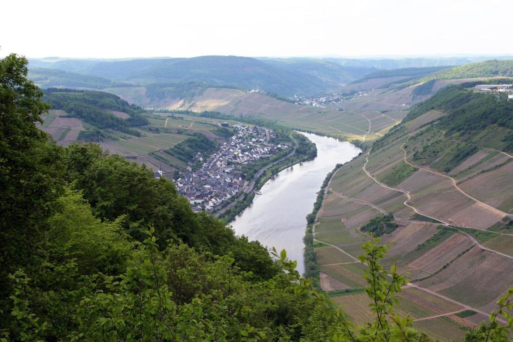 Hotel Ferienweingut Hensler Briedel Esterno foto