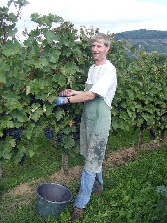Hotel Ferienweingut Hensler Briedel Esterno foto